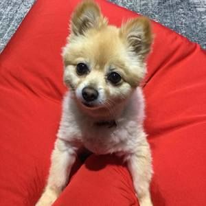 Meet your Posher, Serina